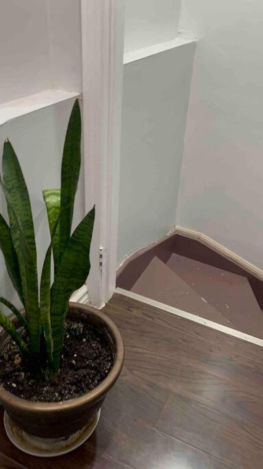 Bernie'S Basement Apartment Milton Luaran gambar